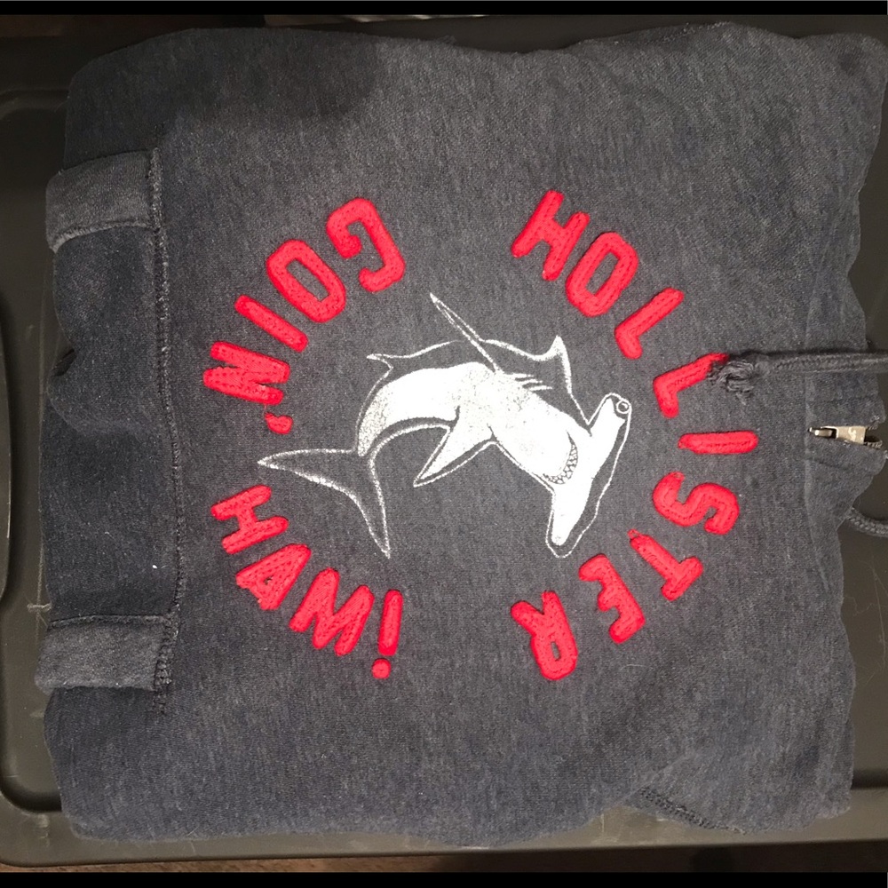 Size small Hollister Hoodie